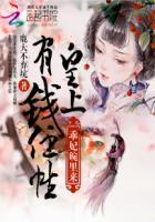 皇上宠幸贵妃