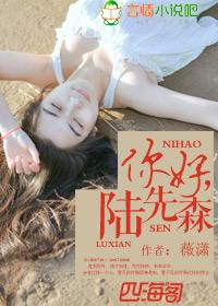你好,陆先森